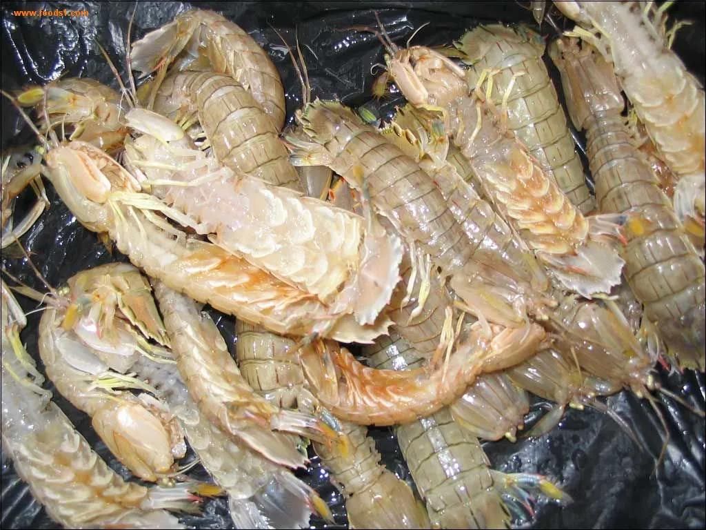 15种海鲜的经典吃法及价格,常见的海鲜正确吃法大全