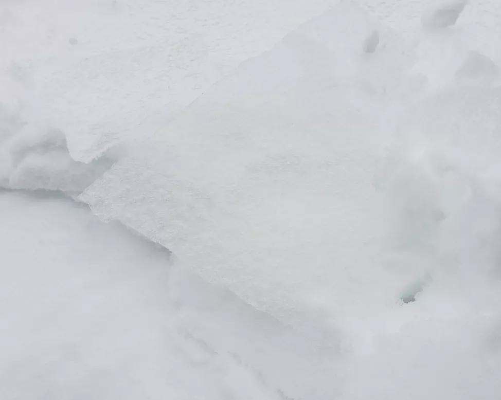 多伦多-20℃喜提2年最低温！今年加拿大天气太迷了