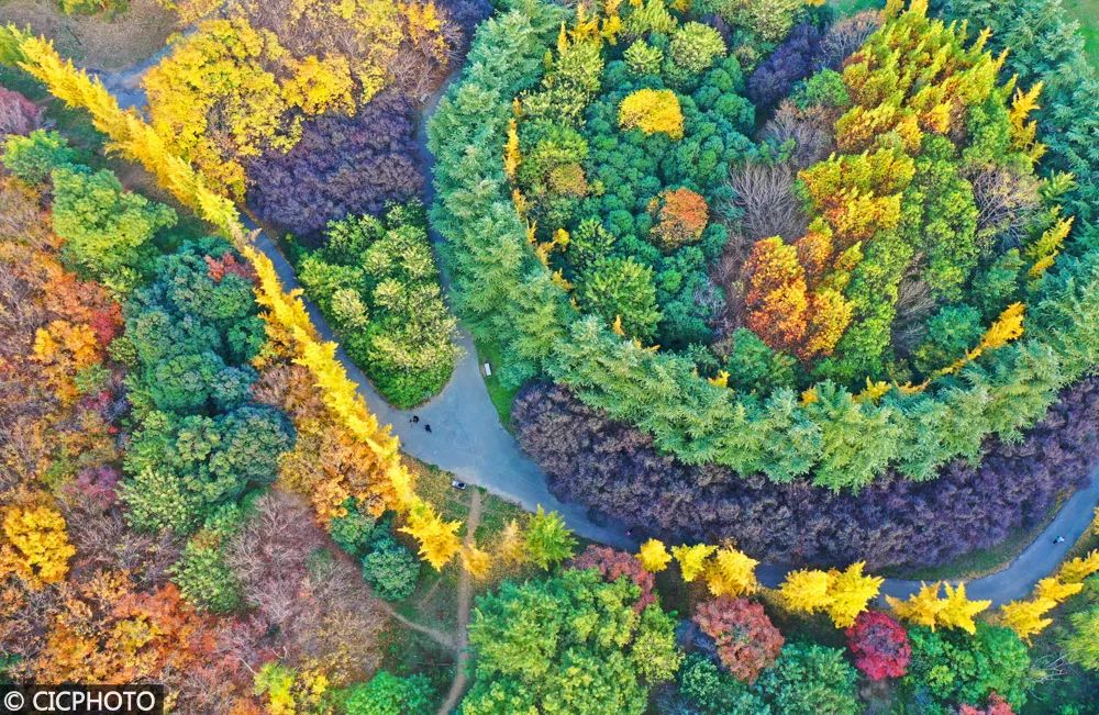 土疙瘩变成金豆豆，讲述甘肃脱贫故事影片《我心向上》定档11月22日【今日早报】