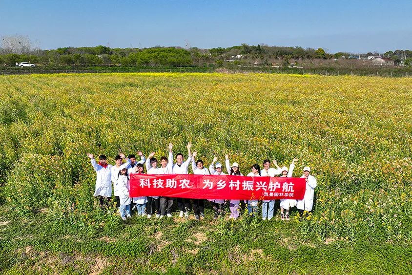 未毕业被定岗位的大学专业,未毕业定岗培养