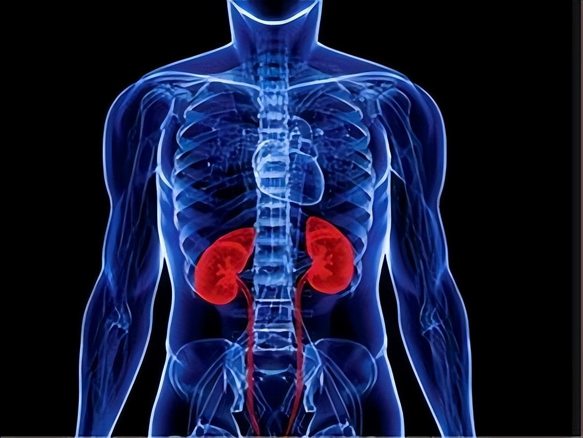 肝肾阴虚引起的咳嗽怎么治疗,脾肺阴虚内热导致的咳嗽