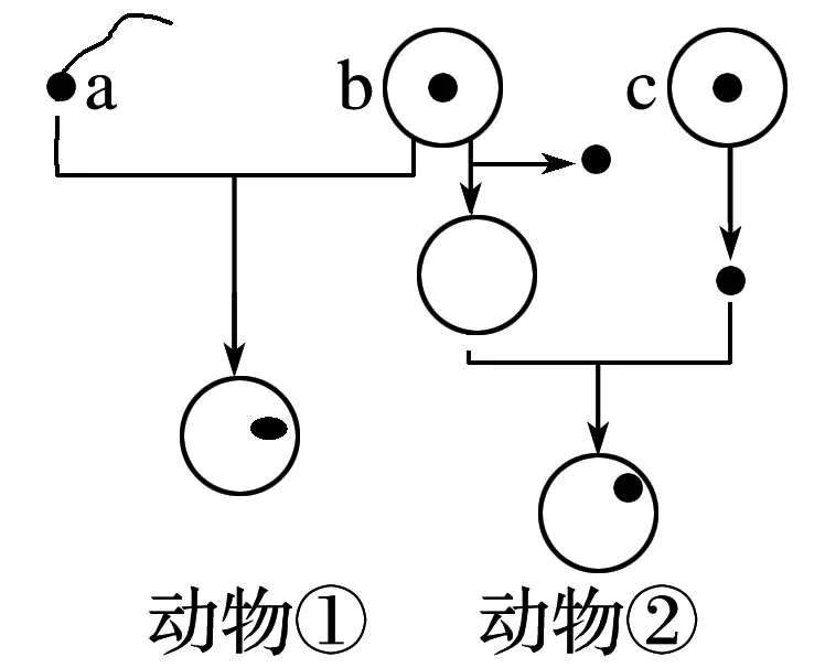 高中生物细胞工程知识点归纳,高二细胞工程的易错点