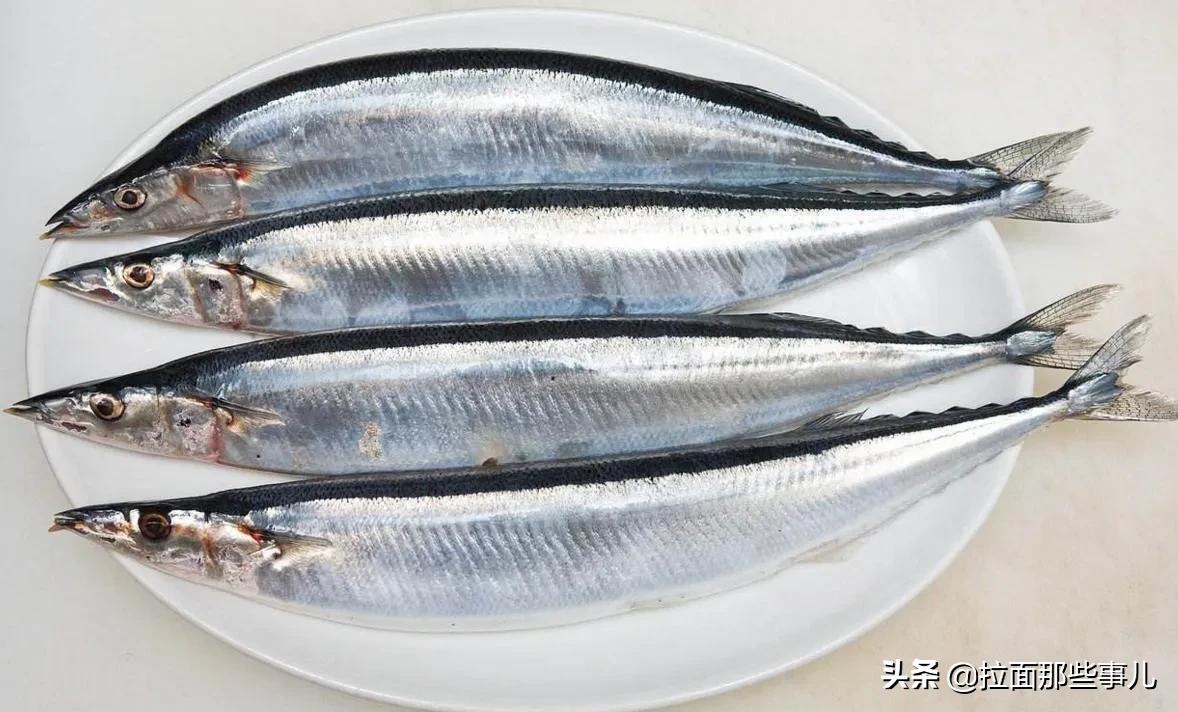 建议中老年人，少吃面食和猪肉，多吃这6种鱼，越吃越健康