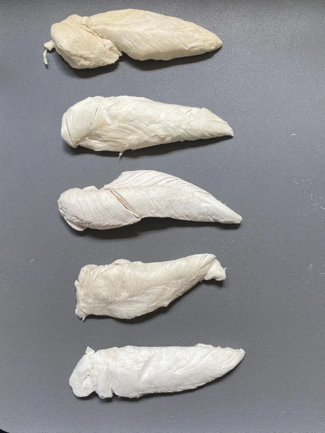 养猫卖宠物用品变现,养猫注意事项和骗局