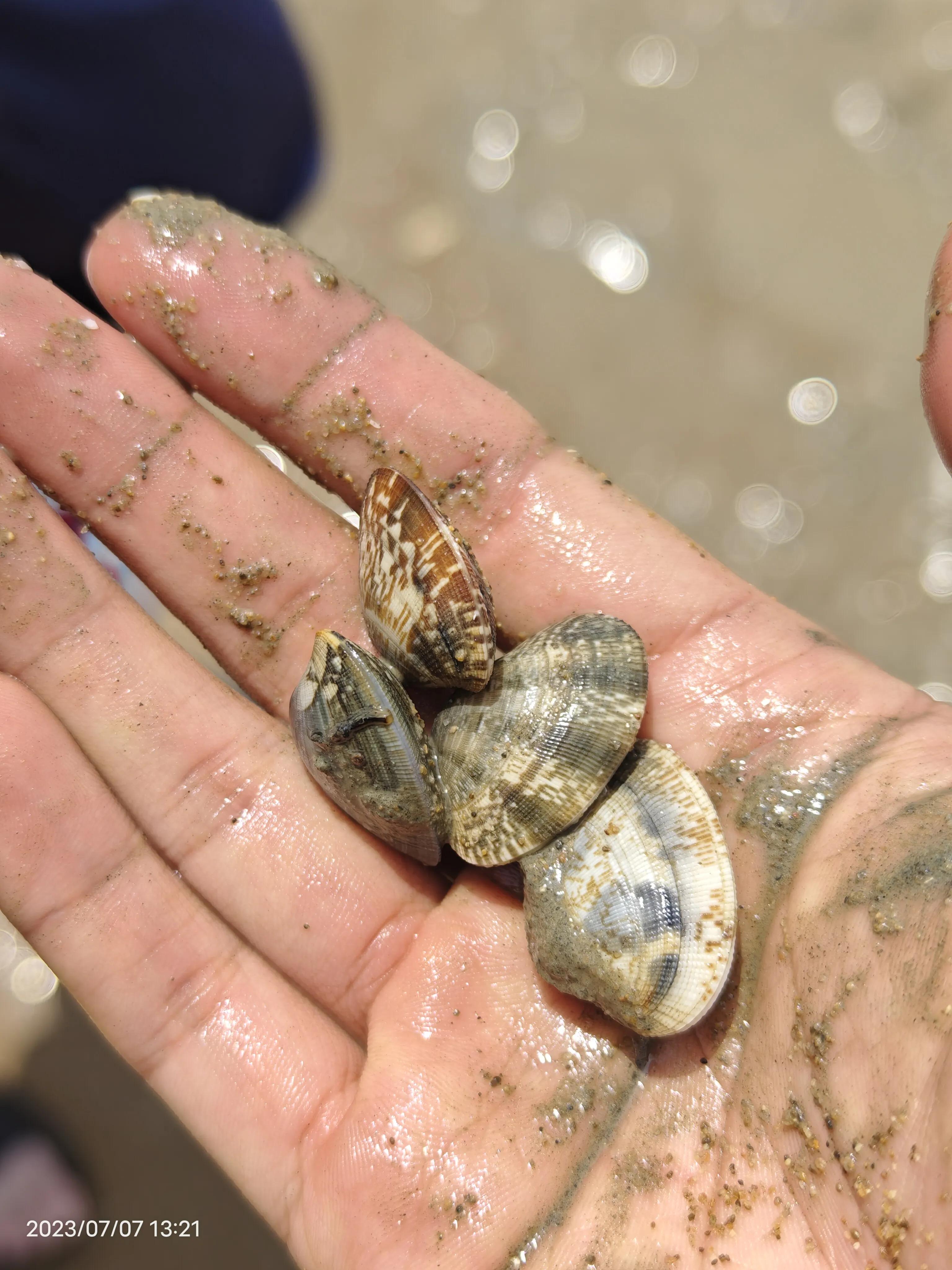 岚山物价高吗,日照岚山区旅游