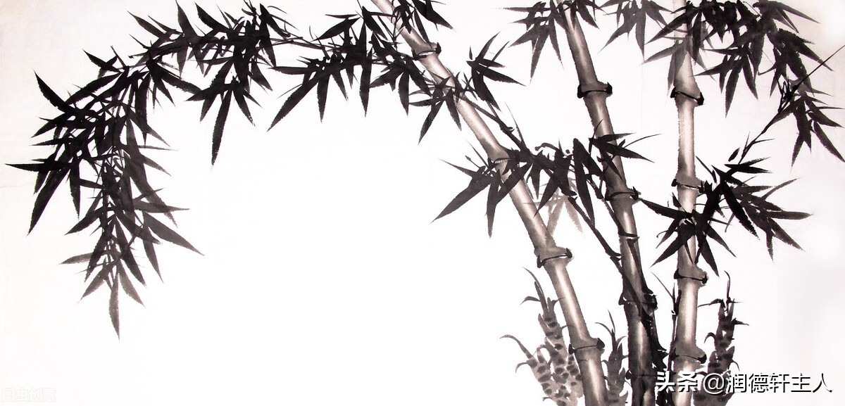 胸有成竹的本义是什么,越接近原始越能领悟生存的真谛