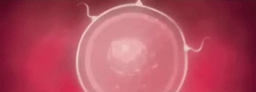 穿越时空的勇士,穿越时空的小战士