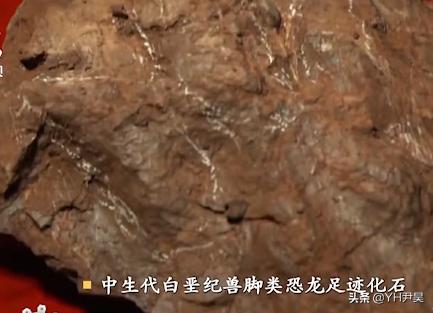 山村十大诡异怪事件,四川大山发现的怪物