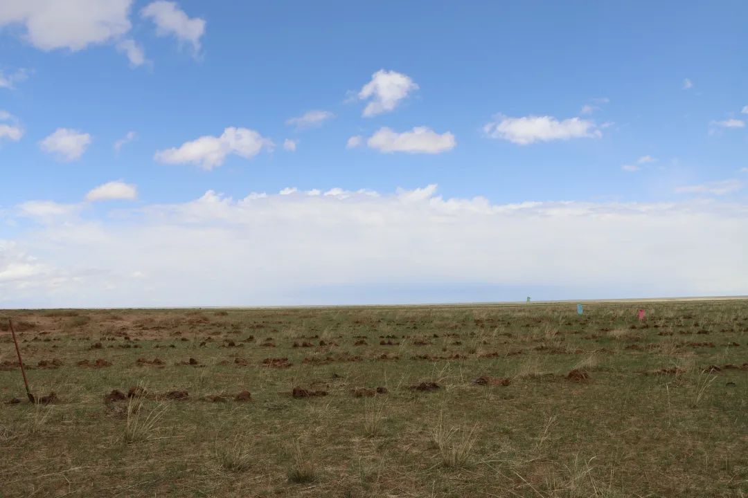 推动各项任务落地见效,推进五大行动
