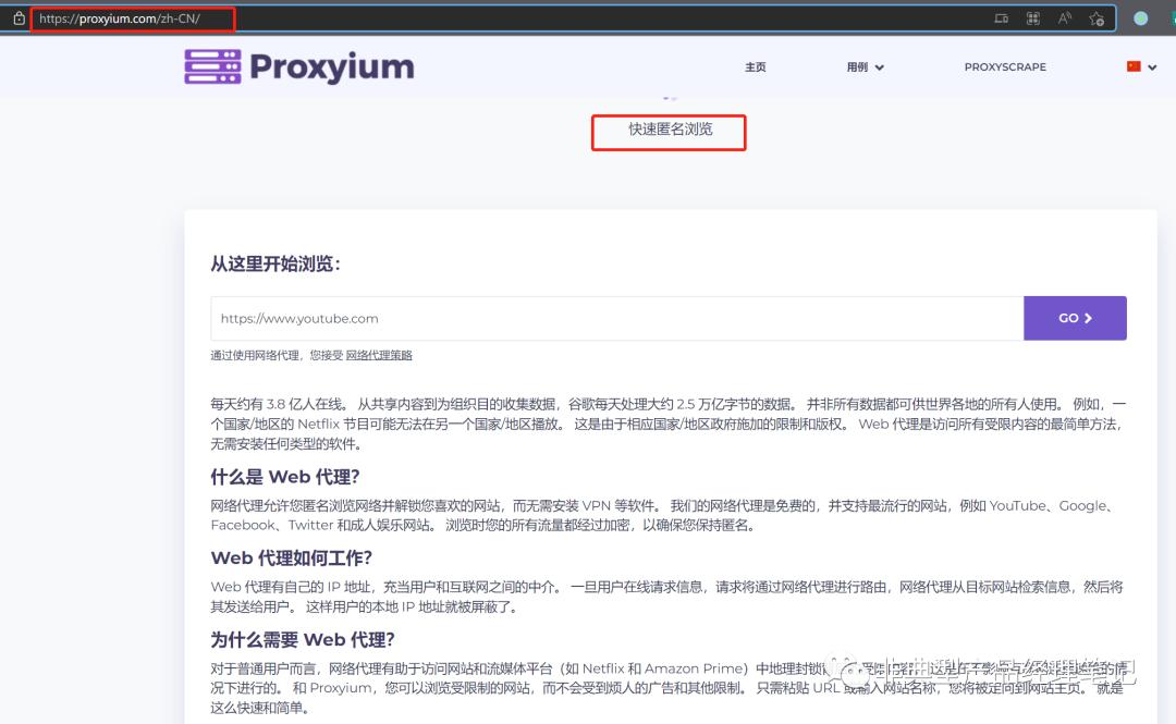#31RemoteAccessTech-004-SDP也是一种SSLVPN？