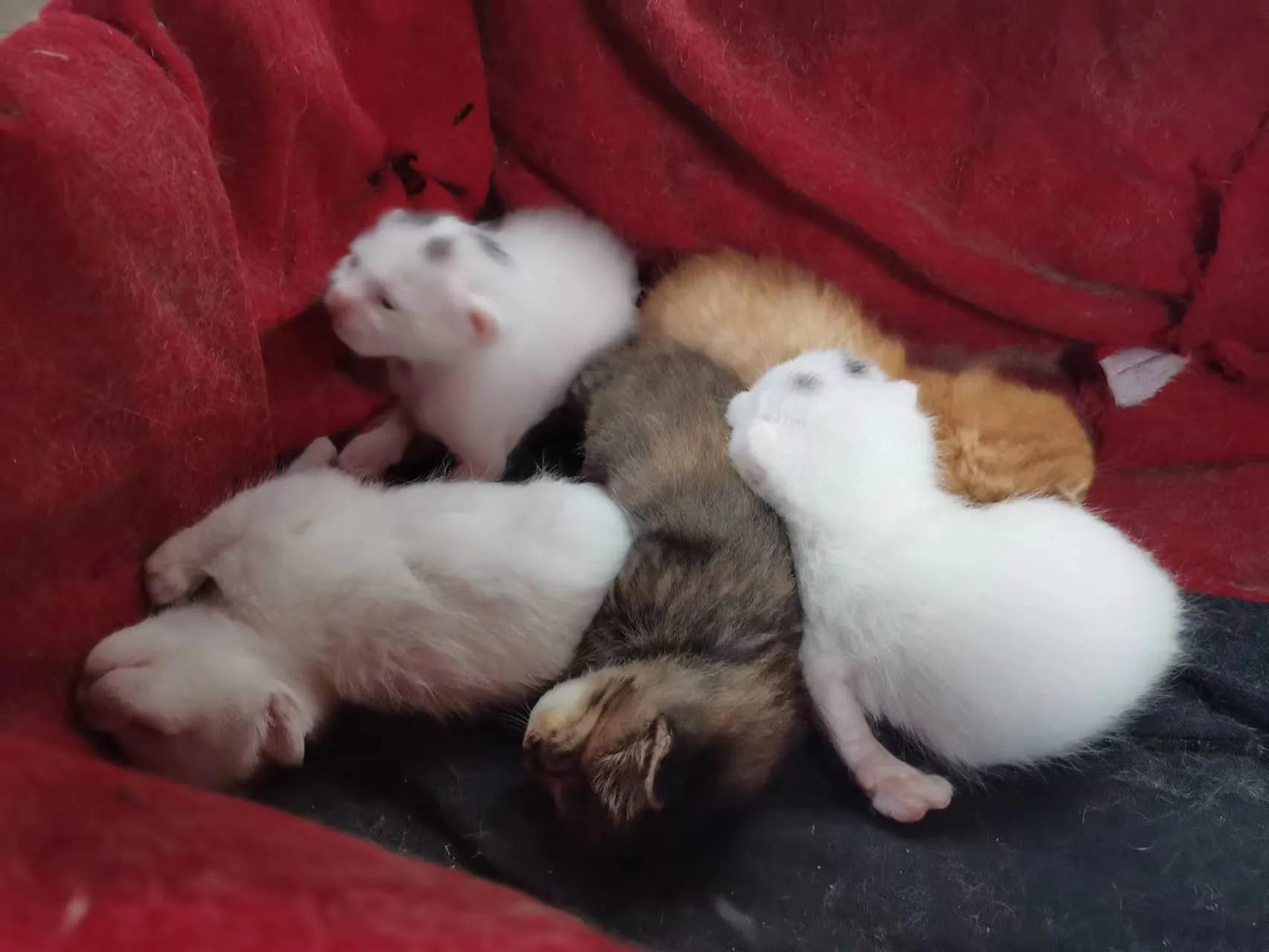 静态管理第五天,长春市静态管理时间