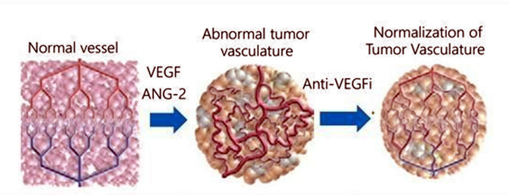 停他汀类药后血压升高,抗抑郁症的药为什么血压会降低