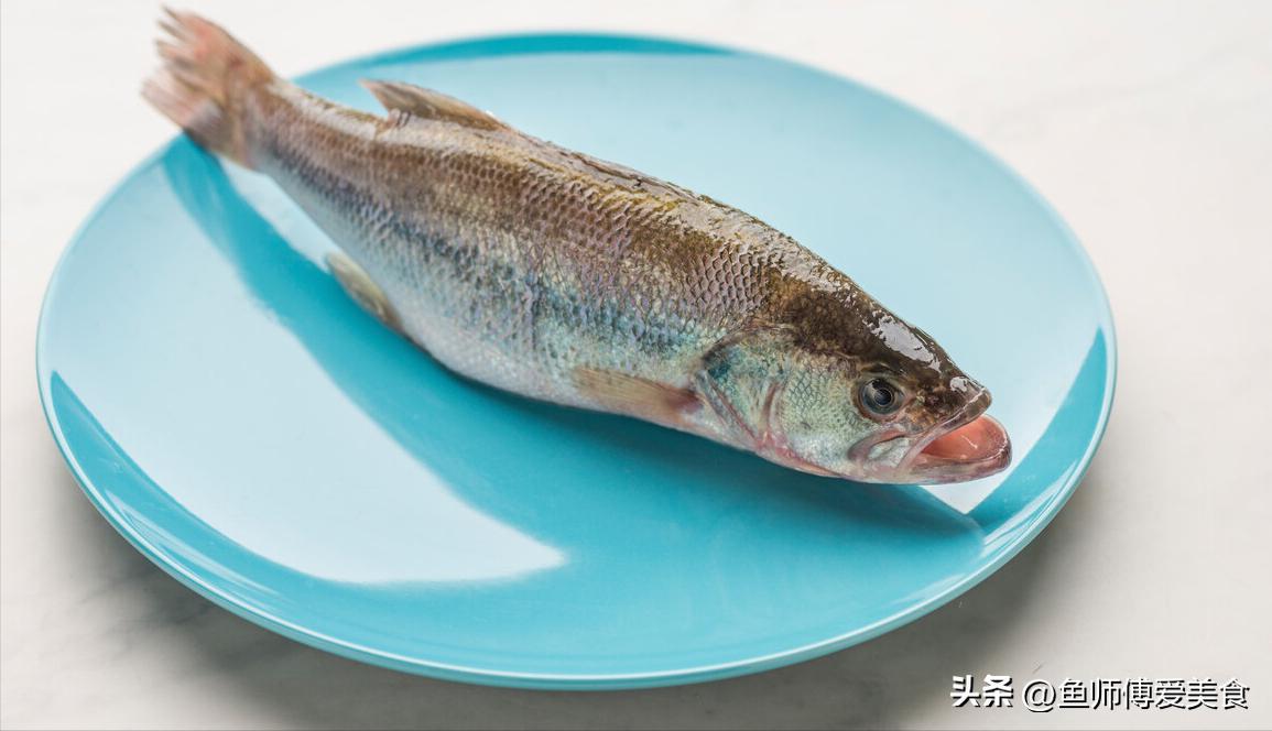 超级好养的海鱼,春季什么海鱼便宜又好养