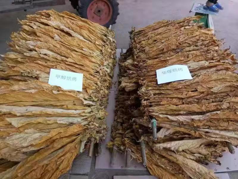 甲醇燃料冬季为什么不容易点燃,甲醇燃料的应用及发展前景