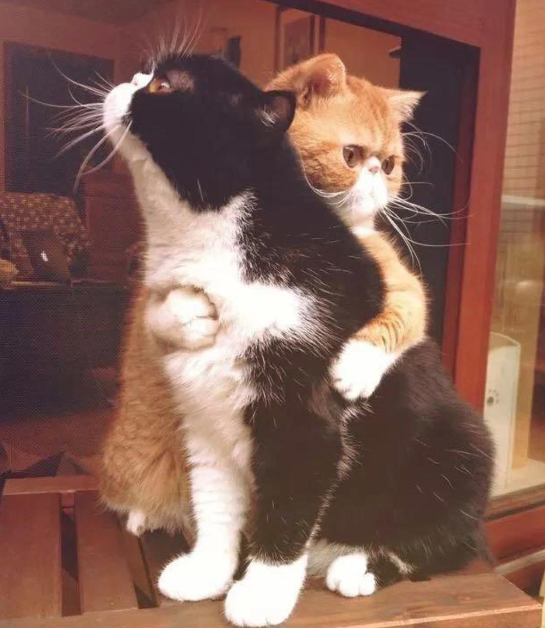 一家三口发烧后的表现不一样,一家三口反反复复发烧