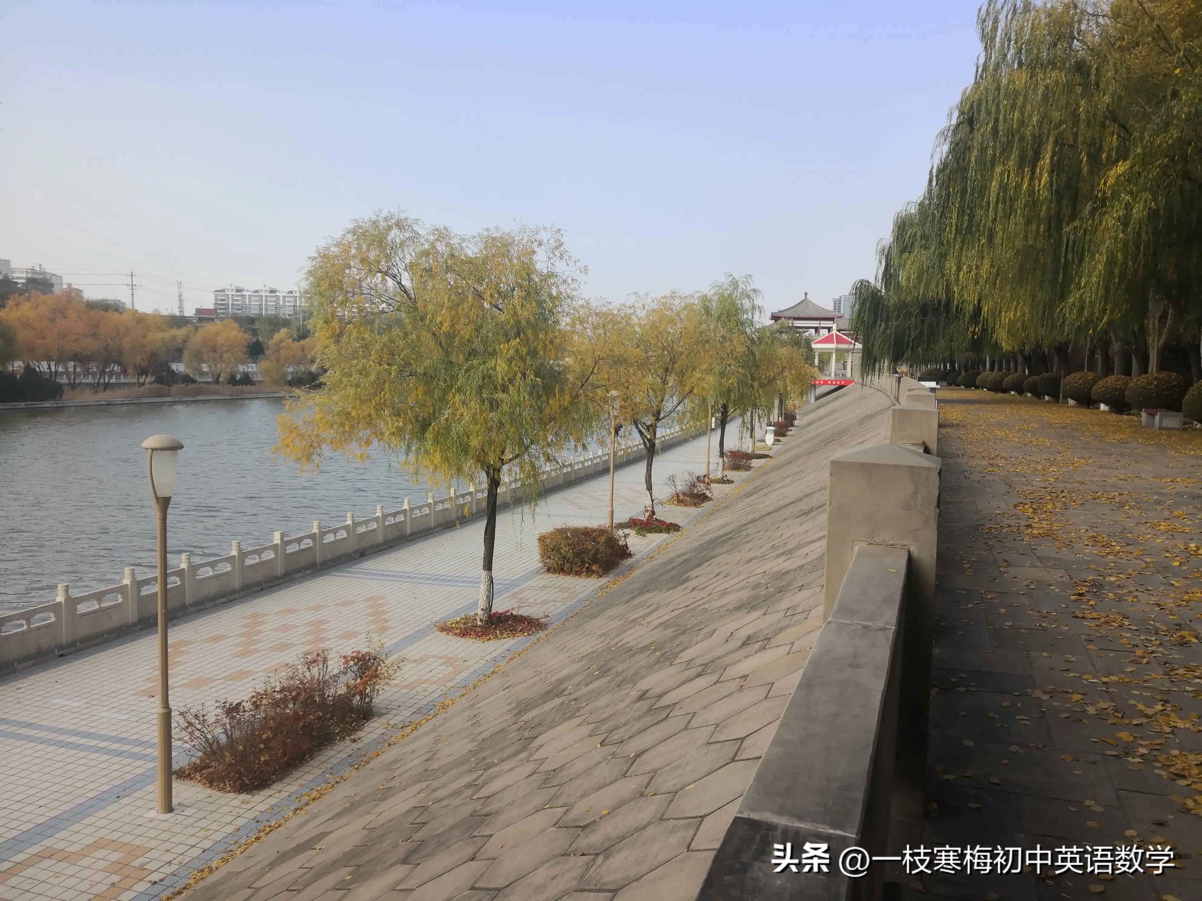 2022八年级上册英语期末必考题,八年级上册英语期末语篇填空技巧