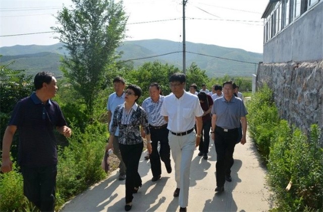 山东济南养殖蟑螂的李延荣,李延荣山东蟑螂处理垃圾第一人