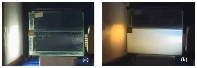 沙尘为何能把太阳“吓”白了？