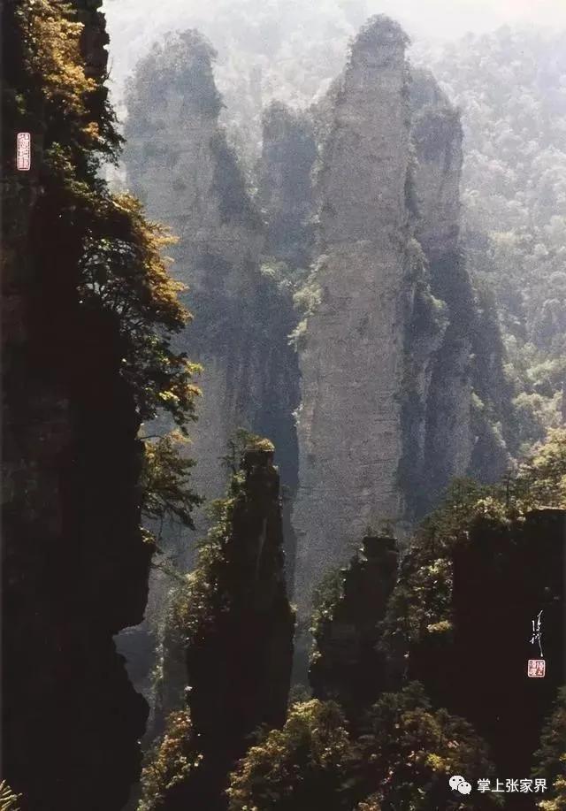 仙境张家界惊艳全世界,张家界的峰林峡谷仙境