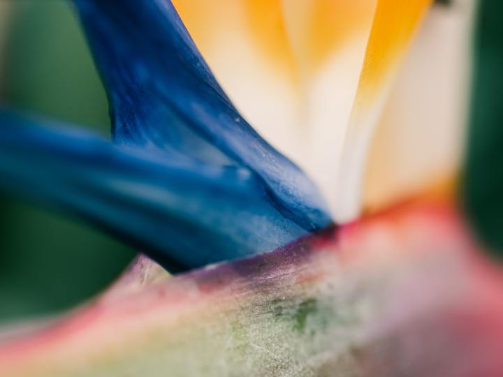 描写春天梅花的优美句子摘抄,描写校园春天早晨的优美句子