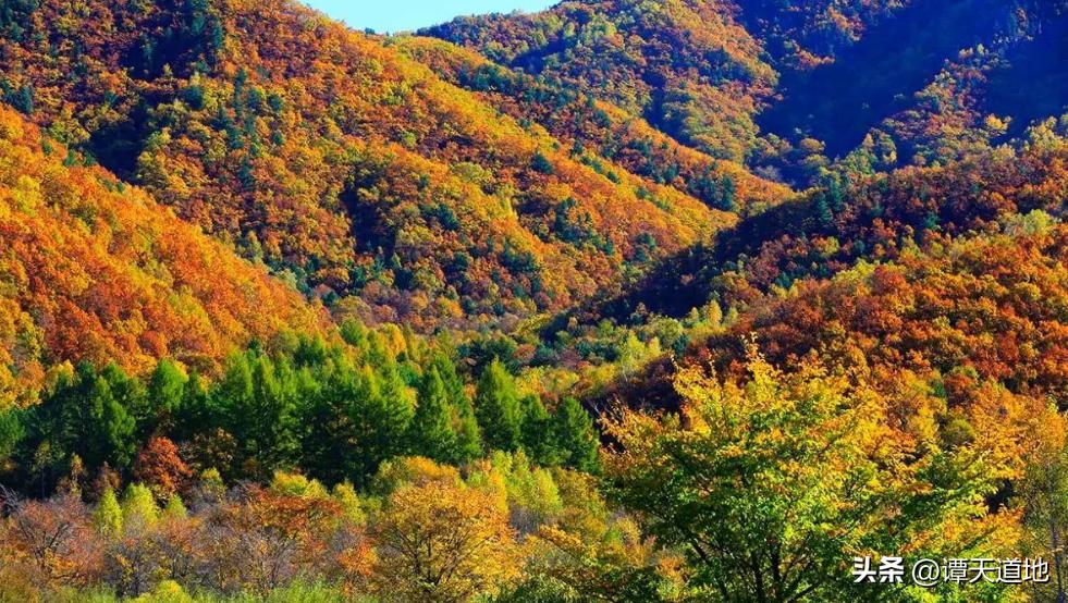 鹤岗网红城市,全国房价最便宜的城市鹤岗