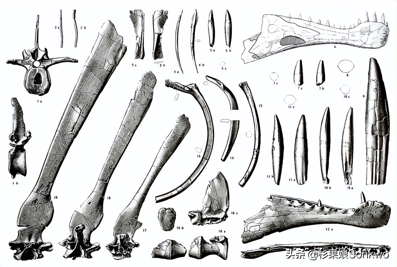 侏罗纪世界进化2水生恐龙解锁,侏罗纪世界进化2全图鉴恐龙解锁