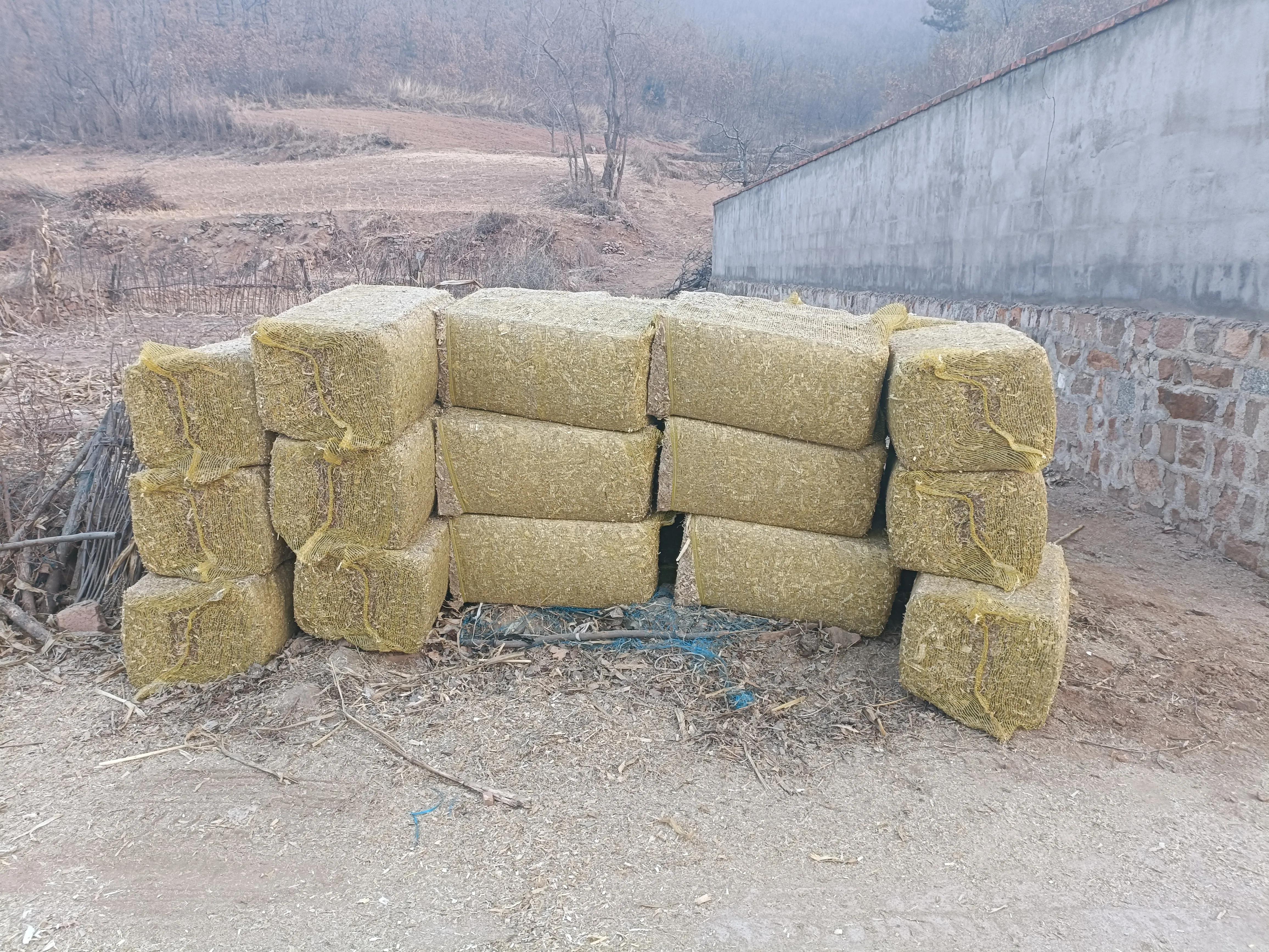 在农村能有什么好的赚钱方法,想在农村挣钱做什么