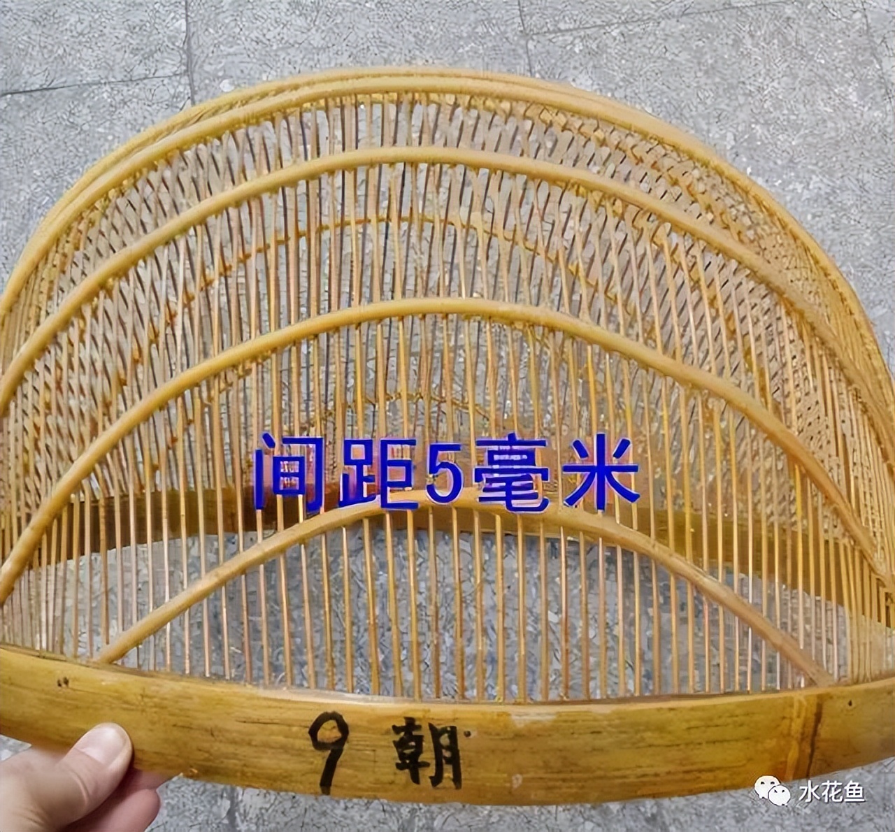 筛鱼神器小筛,4厘米宽的鱼筛可以筛多大的鱼