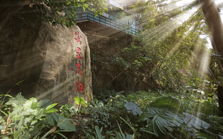 赏城中美景，品厦门味道。城市中心C位酒店，毗邻植物园、中山路