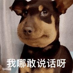 2016年郫县地震,08年汶川地震郫县视频