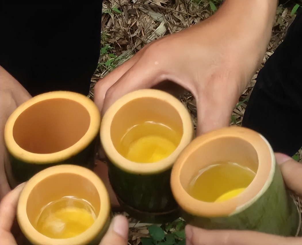 竹子做的酒真的能喝吗,竹子灌酒为什么酒没有了