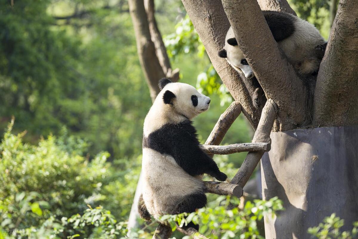 成都不用开车适合旅游的地方,成都旅游攻略必去十个地方自驾游