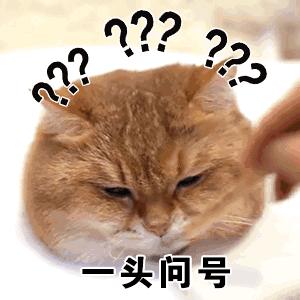 双减政策还能知道成绩吗,双减政策后如何提高成绩