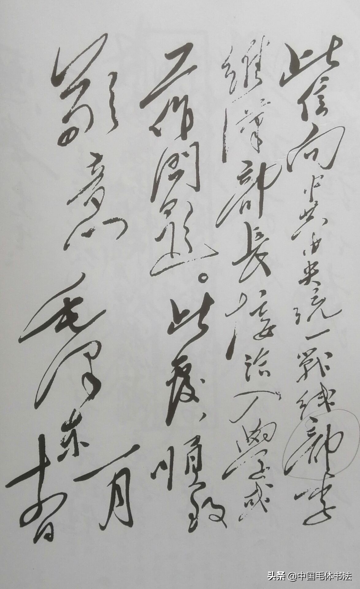 毛主席称女性为“先生”的，除了宋庆龄还有李思安