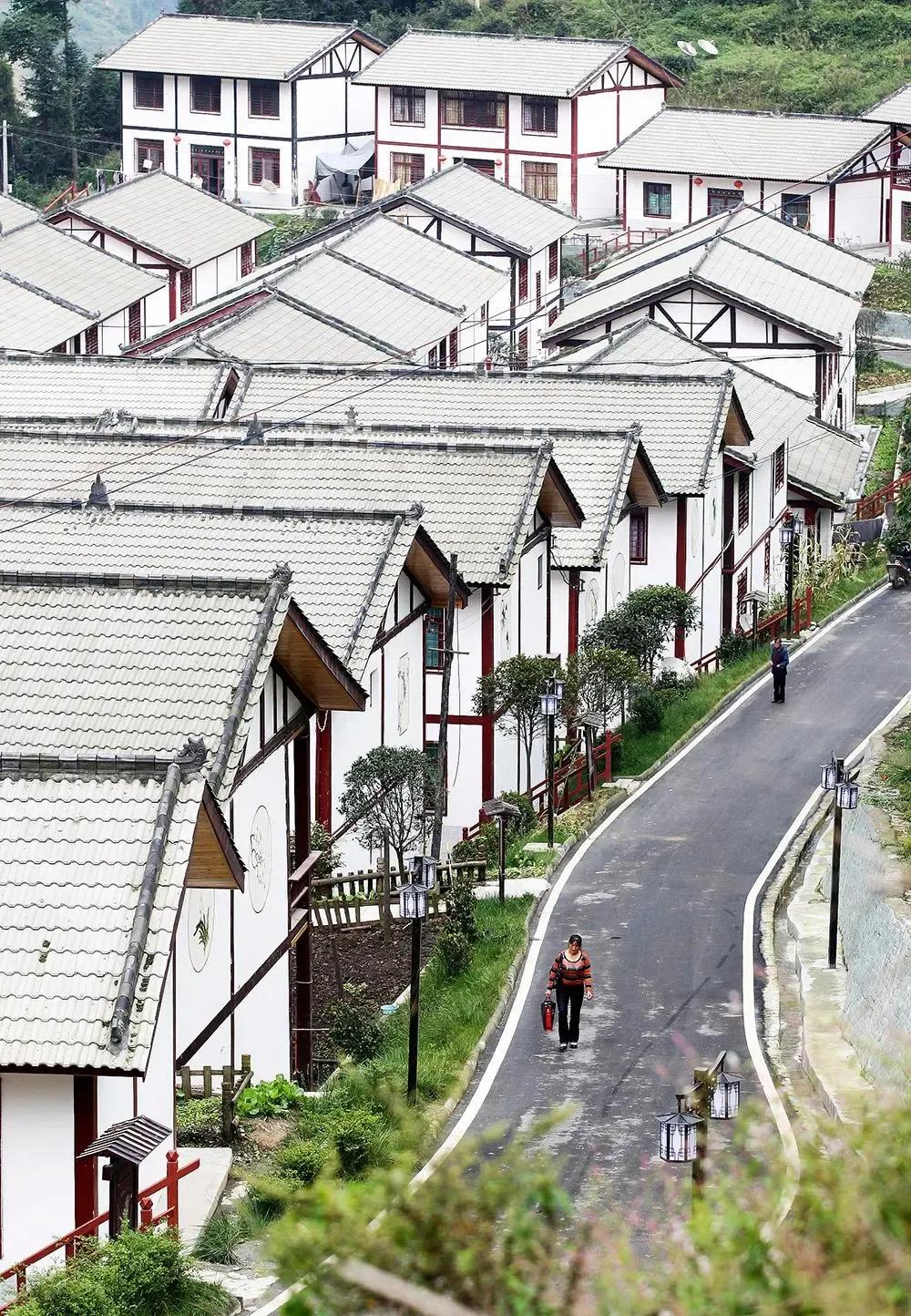 汶川地震15周年题材,5.12汶川地震15周年致敬图