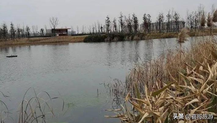 幻塔人工岛风景点位置在哪里,幻塔人工岛怎么去