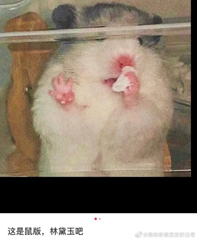 每日一笑精品段子,每日一笑段子