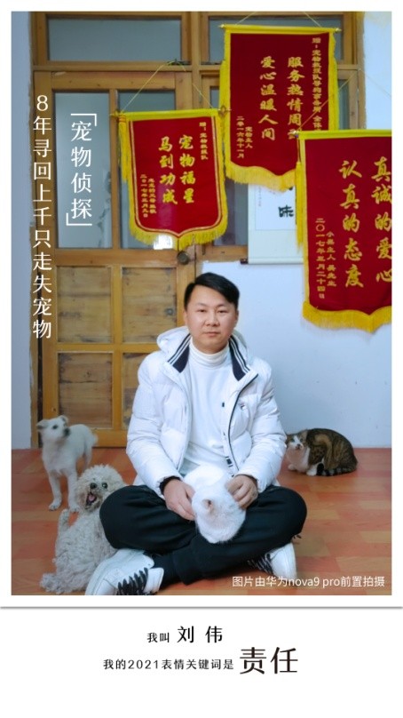 一张图了解nova9,nova9新影像