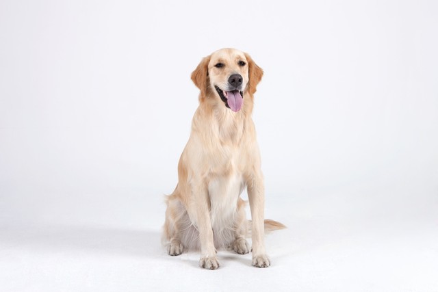 杨女士月工资多少,杨女士一年收入多少钱