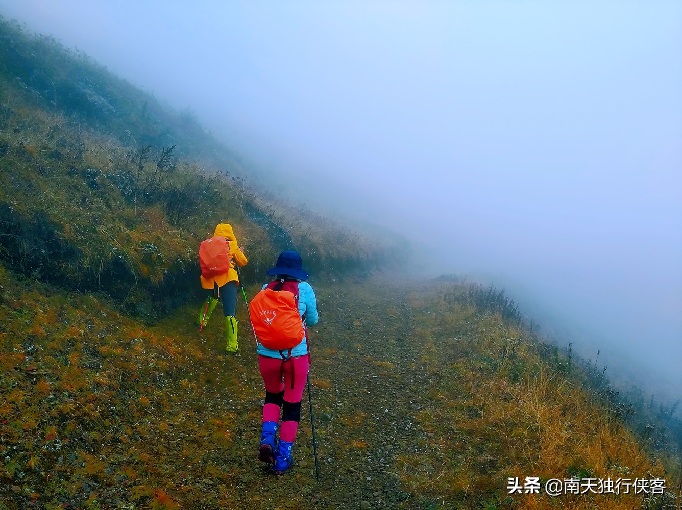 穿越时空美丽的云南,穿越迷雾丛林见美景