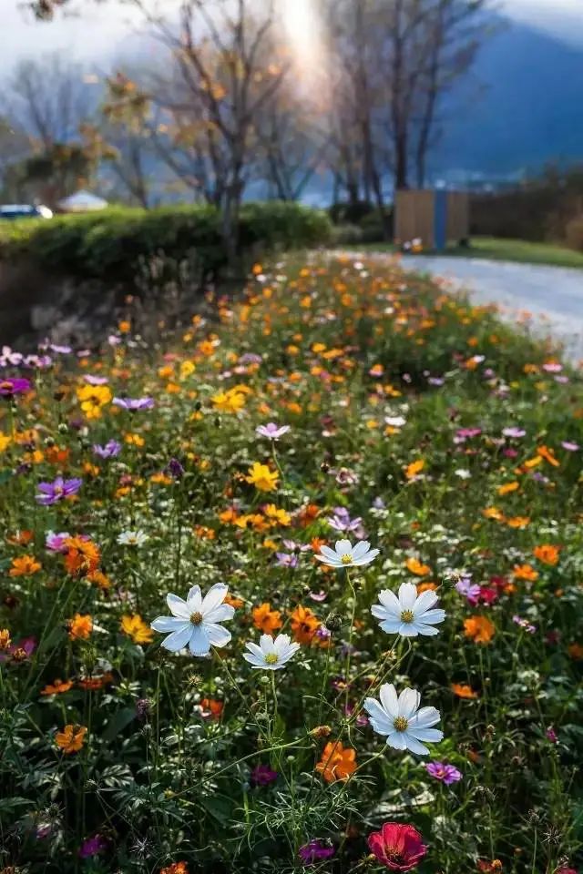 杭黄高铁到黄山景区,杭黄高铁宁波到黄山