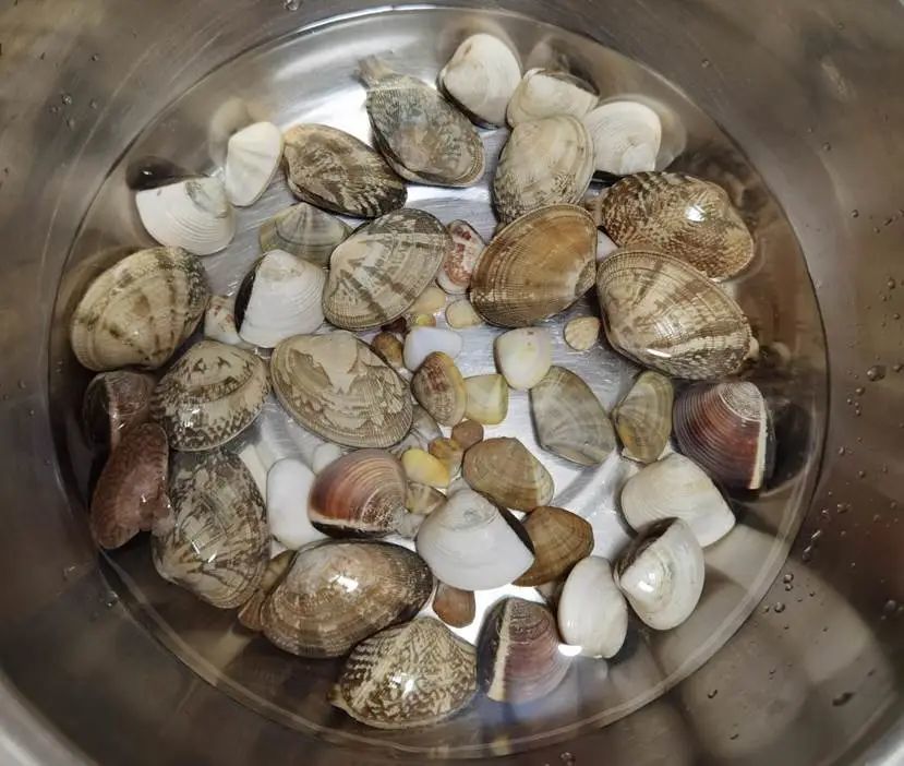 海南海鲜贝类有哪些,海南海鲜贝类