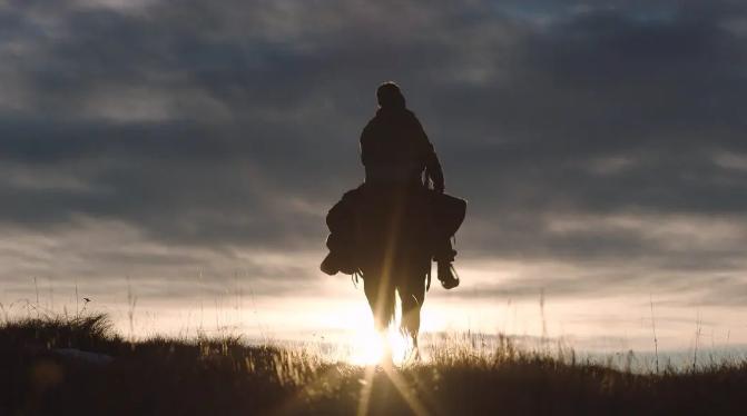 最后生还者1-6季全集,最后生还者1-8季解说