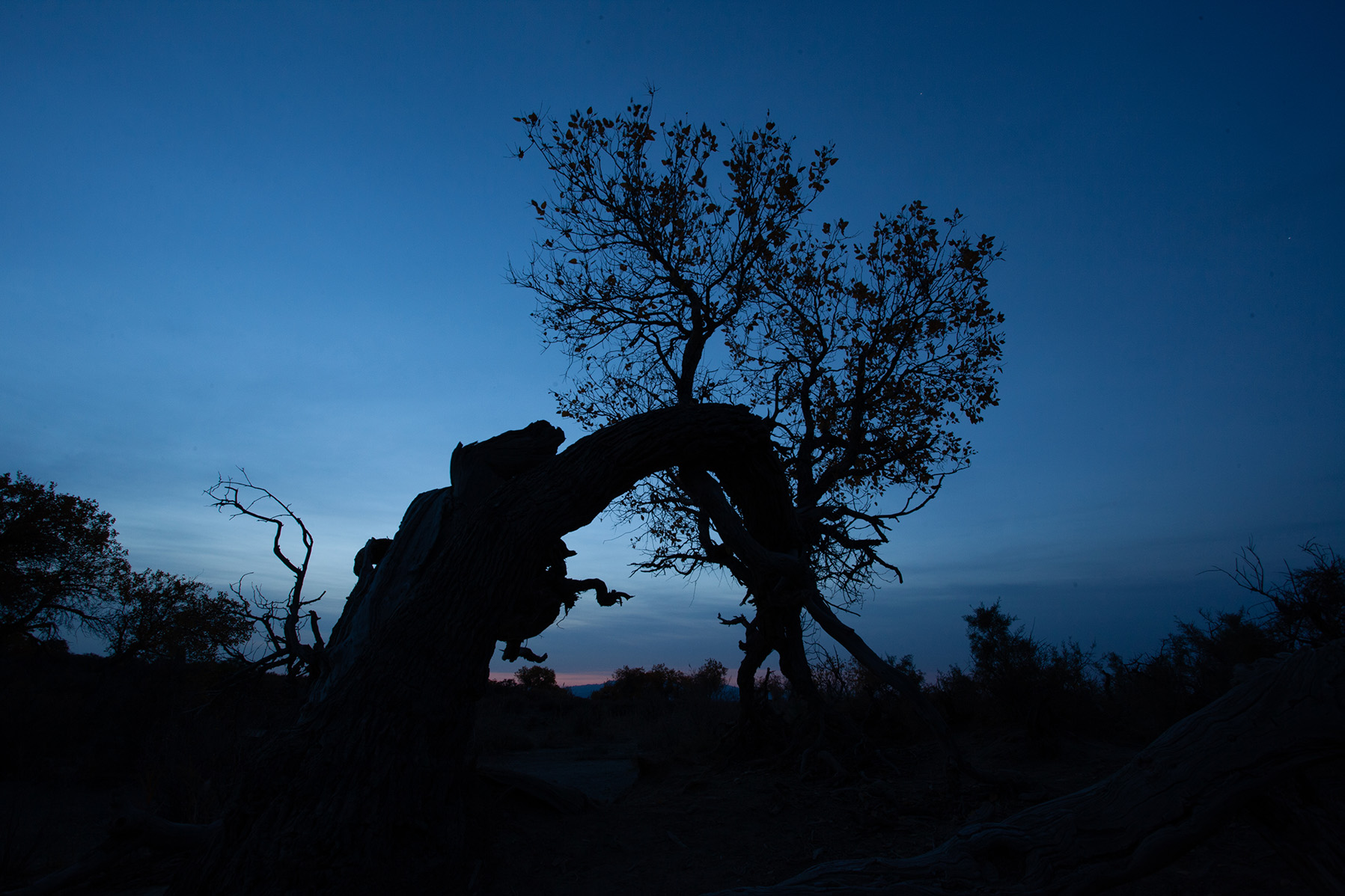 什么是raw格式和jpg格式,什么是raw格式拍摄