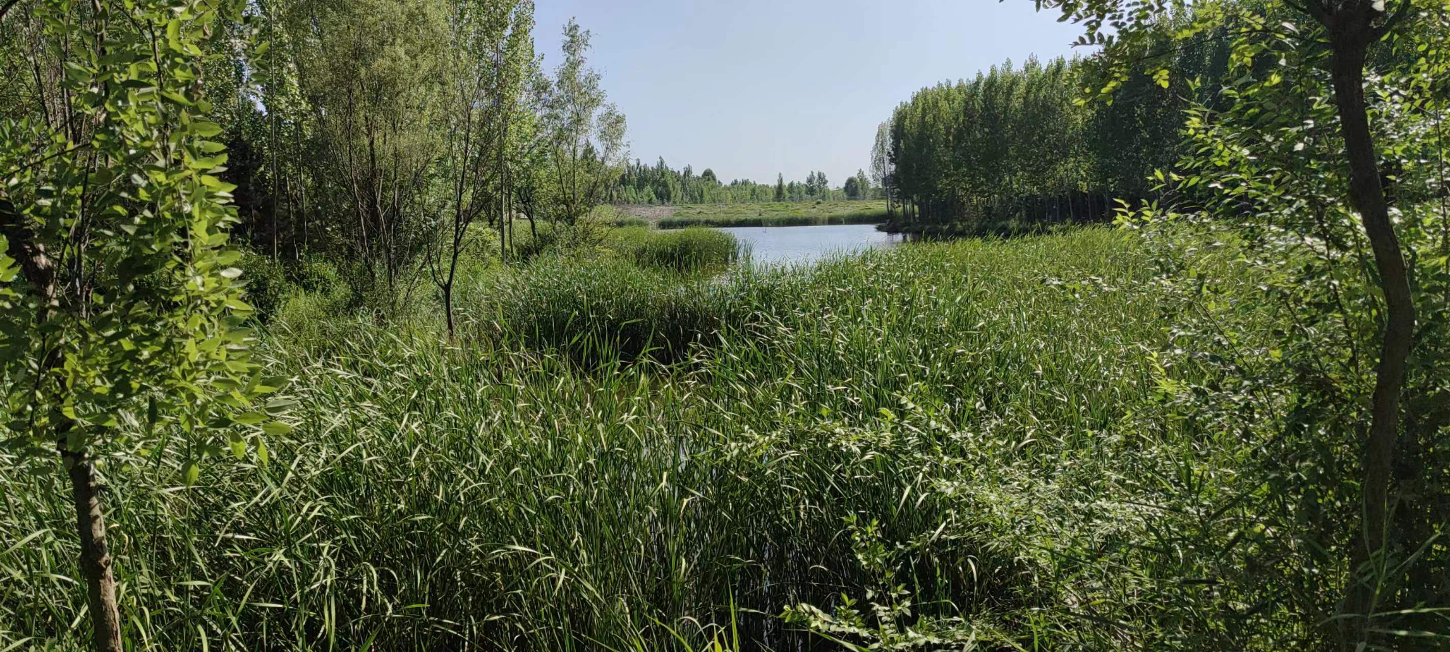 古中国考出彭蠡泽｜张笔魁