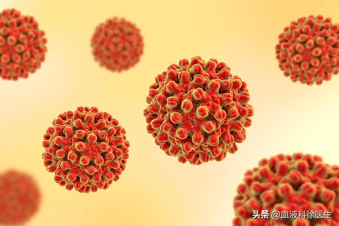 治乙肝恩替卡韦好还是替诺福韦好,恩替卡韦治乙肝原理