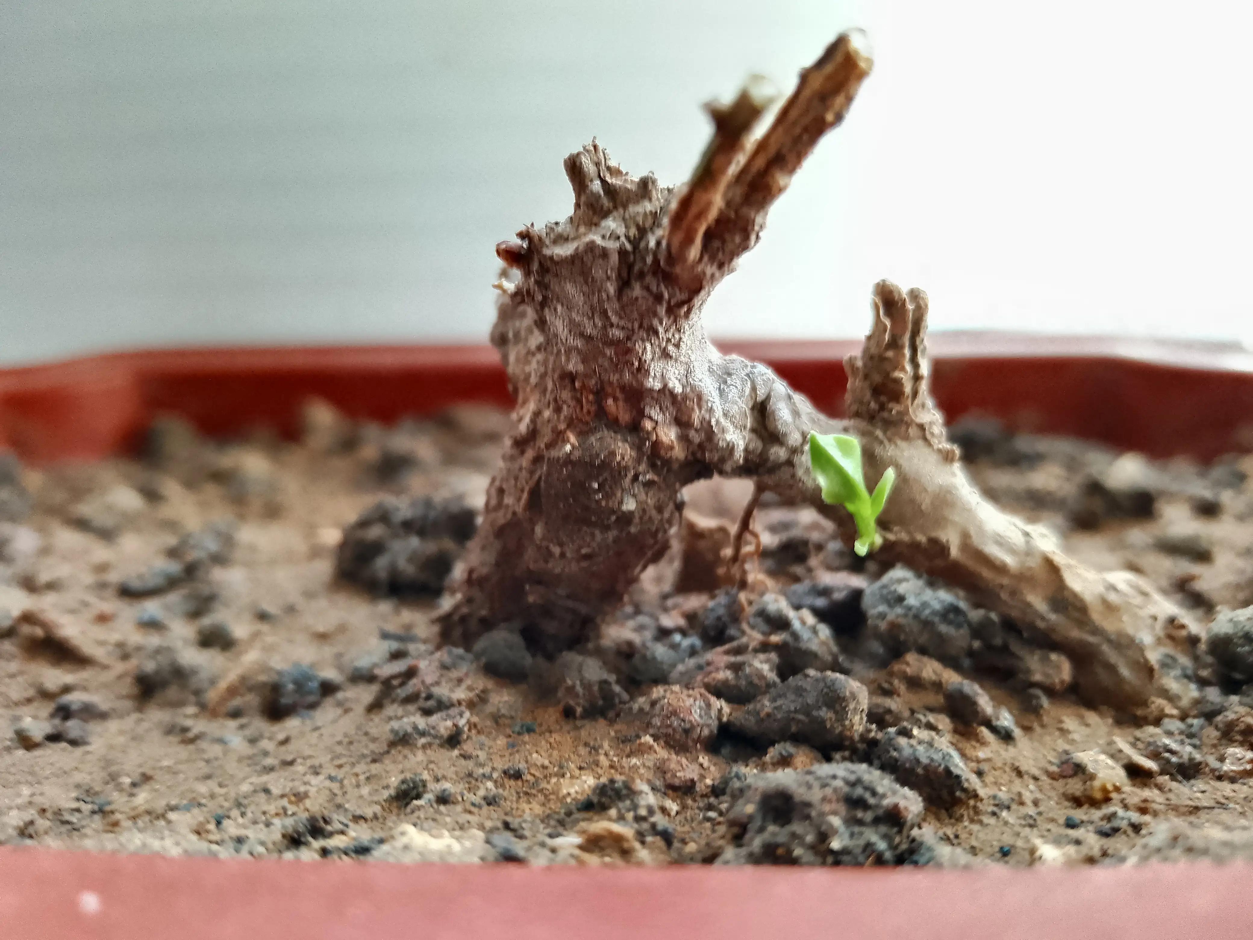 聊一聊关于日常健身的问题,聊瑜伽