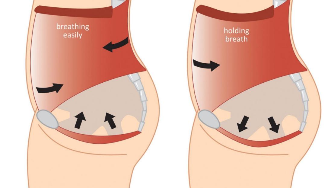 注意性缺陷多动障碍临床表现,注意功能障碍属于什么障碍