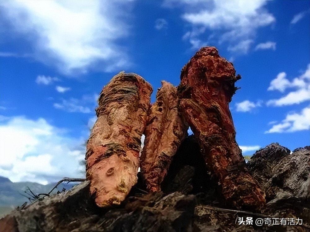 送你一朵大红花,给你一朵大红花音乐