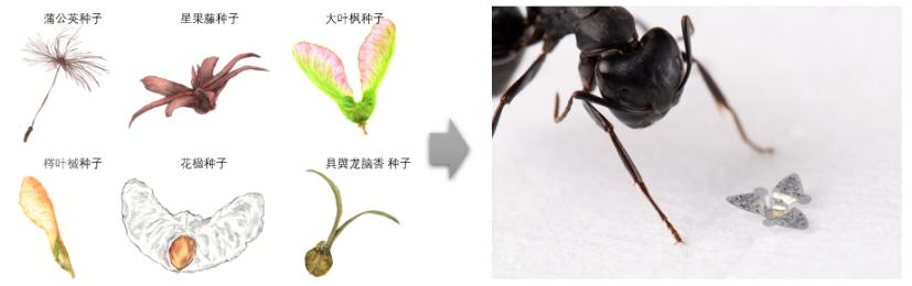 中国顶级无人机芯片,史上最小的芯片